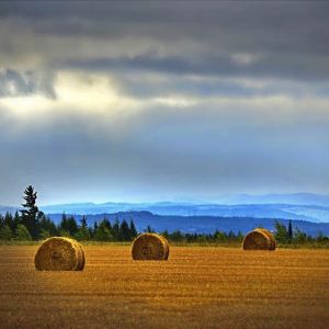Agrotecnica 2000 Agrotecnica 2000